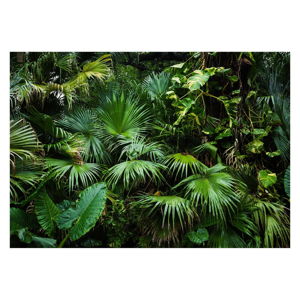 Velkoformátová tapeta Bimago Sunny Jungle, 400 x 280 cm