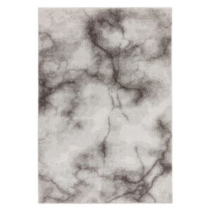 Šedý koberec 200x290 cm Dream – Asiatic Carpets