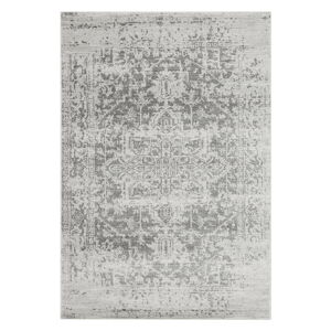 Šedý koberec 200x290 cm Nova – Asiatic Carpets