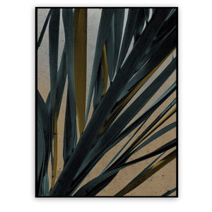 Obraz Styler Palm, 121 x 81 cm
