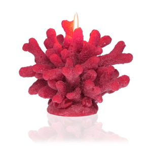 Dekorativní svíčka ve tvaru korálu Versa Coral