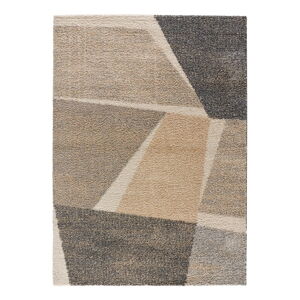 Šedo-béžový koberec 160x230 cm Cesky – Universal