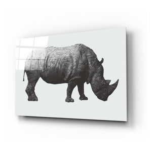 Skleněný obraz Insigne Rhino Rhino, 72 x 46 cm