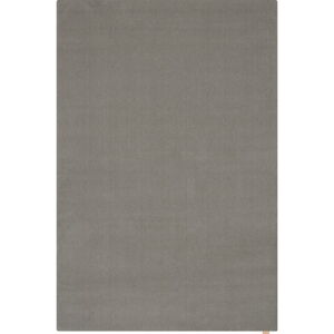Šedý vlněný koberec 240x340 cm Calisia M Smooth – Agnella