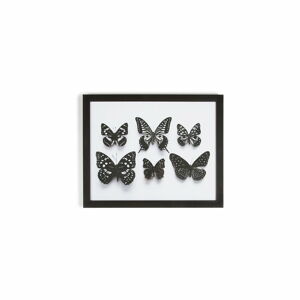 Obraz v rámu Graham & Brown Botanical Butterfly, 50 x 40 cm