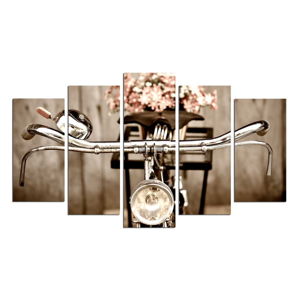 Vícedílný nástěnný obraz Bicycle