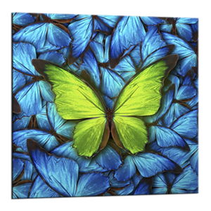 Obraz Styler Glasspik Blue Butterfly, 20 x 20 cm