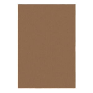 Koňakově hnědý koberec 120x170 cm – Flair Rugs