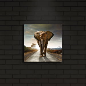 Podsvícený obraz Elephant, 28 x 28 cm