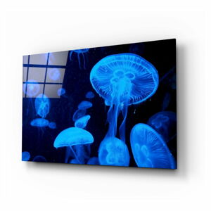 Skleněný obraz Insigne Jellyfish